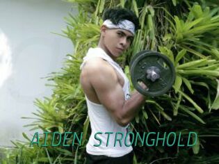 AIDEN_STRONGHOLD