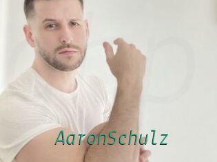 AaronSchulz