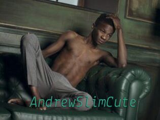 AndrewSlimCute