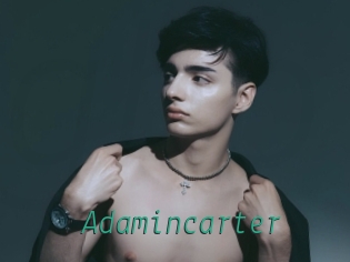adamincarter Gay Home Pictures