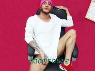 Adamrosse