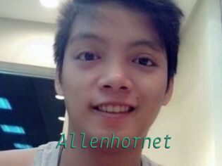 Allen_hornet