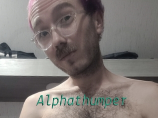 alphathumper Gay Home Pictures