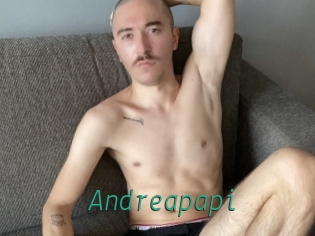 andreapapi Gay Home Pictures