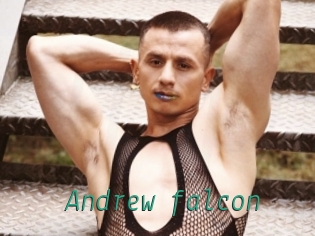 Andrew_falcon