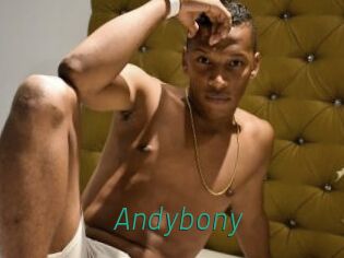Andybony