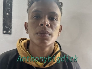 Anthonybigdick