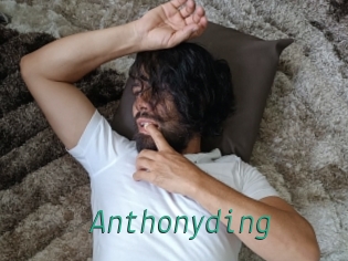 anthonyding Gay Home Pictures
