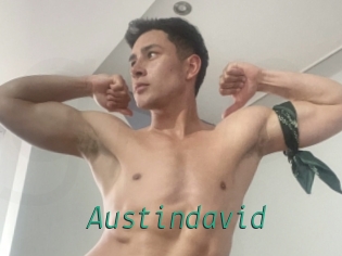 austindavid Gay Home Pictures