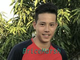 BriceMarsh