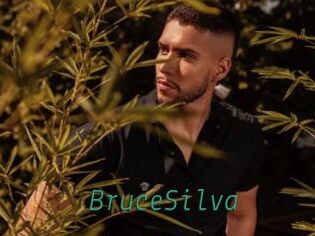 BruceSilva