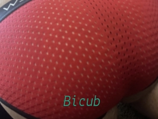 Bicub