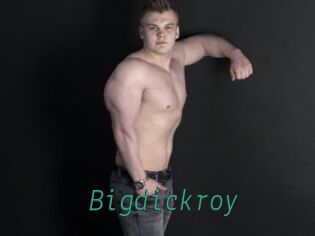 bigdickroy Gay Home Pictures