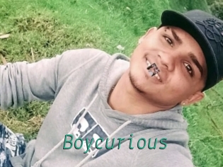 boycurious Gay Home Pictures