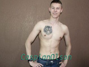 CaspianOlson Gay Home Pictures