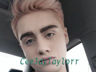 CeeJayTaylorr