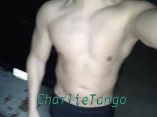 CharlieTango Gay Home Pictures