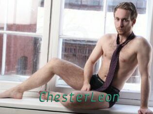 ChesterLeon Gay Home Pictures