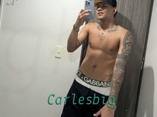 carlesbig Gay Home Pictures