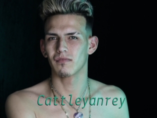 cattleyanrey Gay Home Pictures
