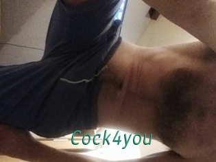 cock4you Gay Home Pictures