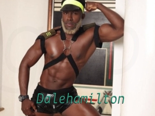 dalehamilton Gay Home Pictures