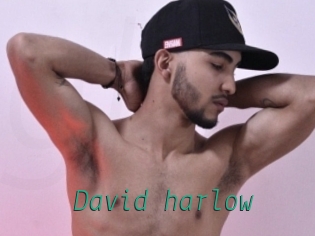 david_harlow Gay Home Pictures