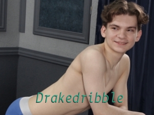 Drakedribble
