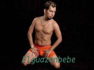 Elguazonbebe