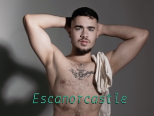 escanorcastle Gay Home Pictures
