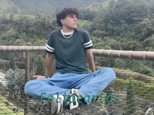 felipearias Gay Home Pictures