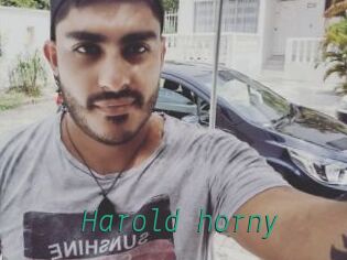 Harold_horny