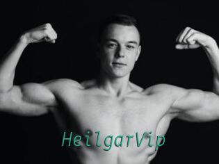 HeilgarVip