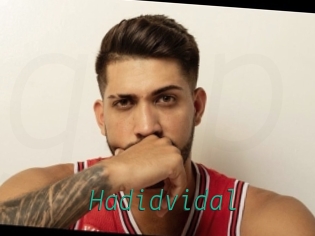 Hadidvidal