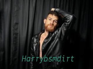 Harrybsmdirt