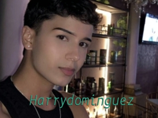 Harrydominguez
