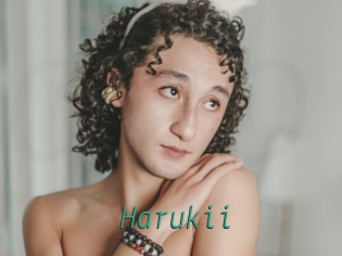 harukii Gay Home Pictures