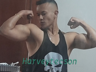 Harveytecson