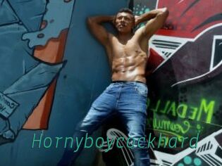 Hornyboycockhard