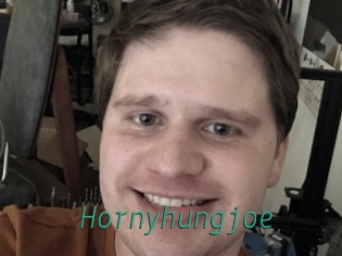 hornyhungjoe Gay Home Pictures