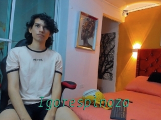 igorespinoza Gay Home Pictures