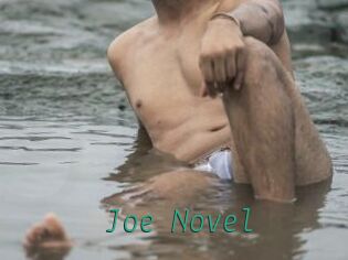 Joe_Novel