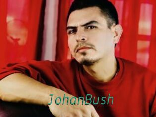JohanBush