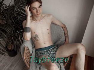 Jaybreeze