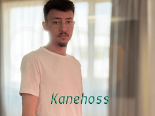 kanehoss Gay Home Pictures