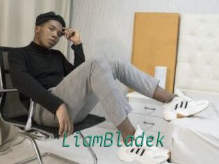 LiamBladek