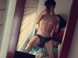 Leoignite