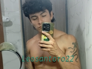 Leosantoro22