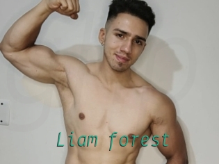 Liam_forest