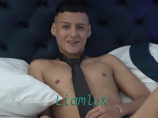 liamlux Gay Home Pictures